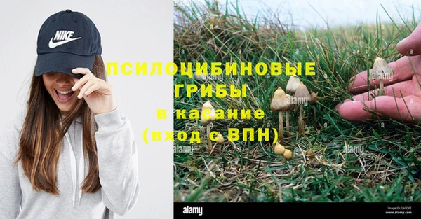 COCAINE Новозыбков